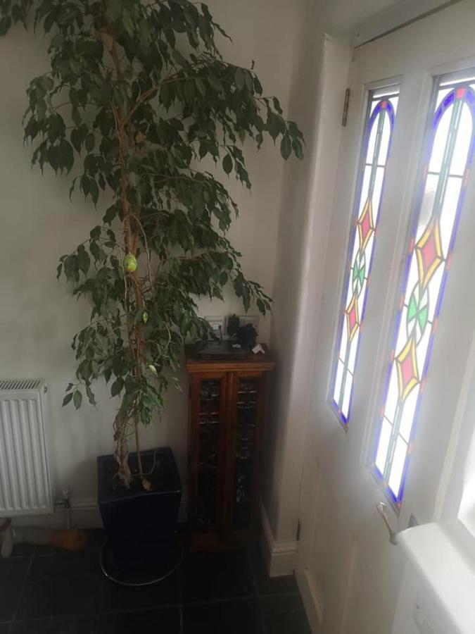 St Ives Uplands B And B المظهر الخارجي الصورة